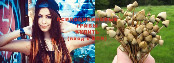 мескалин Лихославль