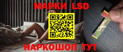 MDMA Гатчина