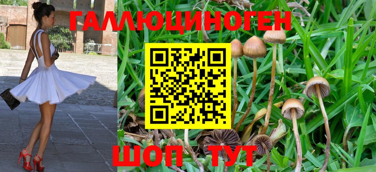 Галлюциногенные грибы мухоморы  Нововоронеж  Псилоцибиновые грибы мицелий 