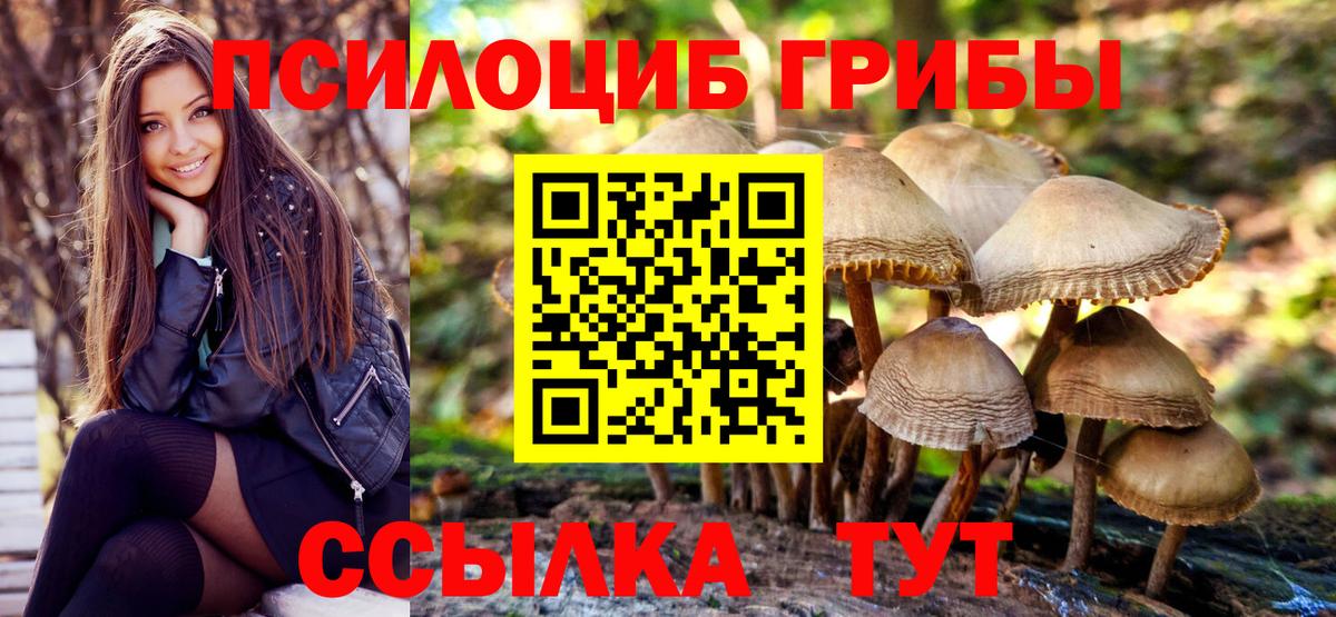 МЕФ Нововоронеж