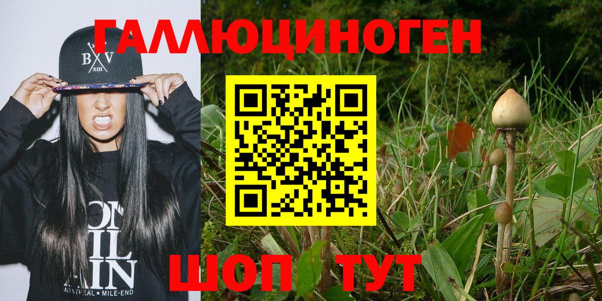 Галлюциногенные грибы GOLDEN TEACHER Нововоронеж